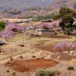 10 curiosidades sorprendentes sobre Lesoto: descubre datos fascinantes de este país africano