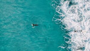 Curiosidades fascinantes sobre el Paddle Surf: descubre los secretos detrás de este emocionante deporte acuático