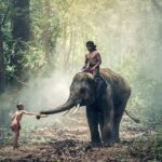 Datos Curiosos de India: Explora las Maravillas Culturales y Naturales del Subcontinente Asiático
