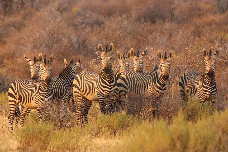 Descubre los datos curiosos más sorprendentes de Namibia: ¡Una aventura fascinante en África!