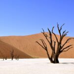 Descubre los fascinantes datos curiosos de Namibia: ¡Un viaje al corazón de África!