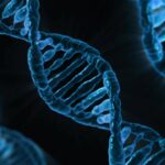 dna, biology, medicine