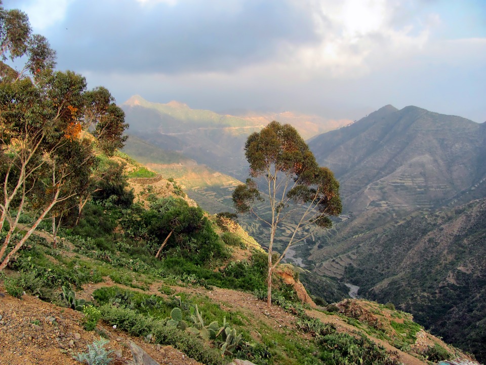 Datos curiosos de Eritrea: Descubre las maravillas desconocidas de este fascinante país africano
