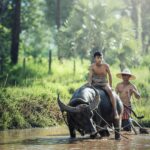 Descubre los fascinantes datos curiosos de Laos: ¡Un tesoro escondido en el corazón de Asia!