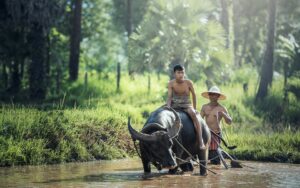 Descubre los fascinantes datos curiosos de Laos: ¡Un tesoro escondido en el corazón de Asia!