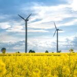 wind turbines on yellow flower field under white clouds and blue sky during daytime